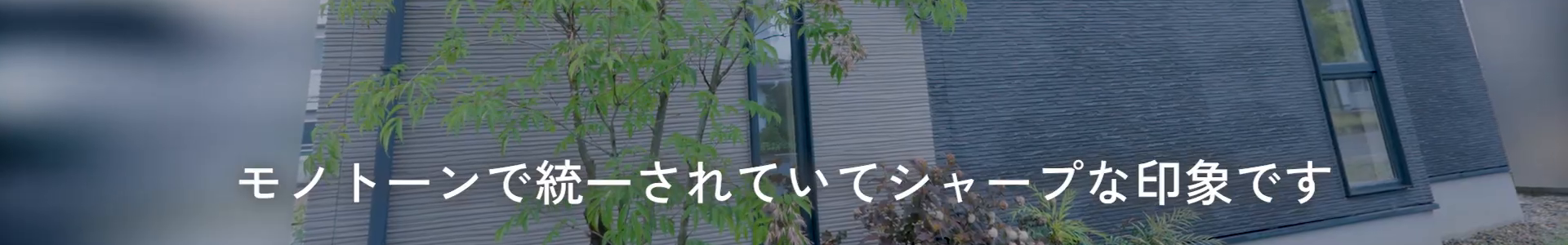 テロップ確認画像