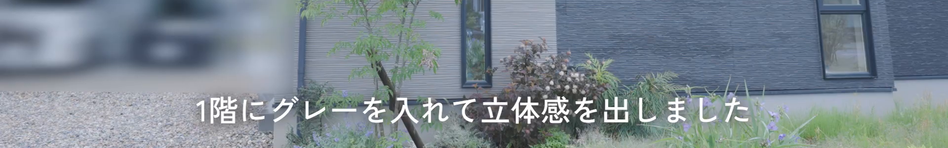 テロップ確認画像